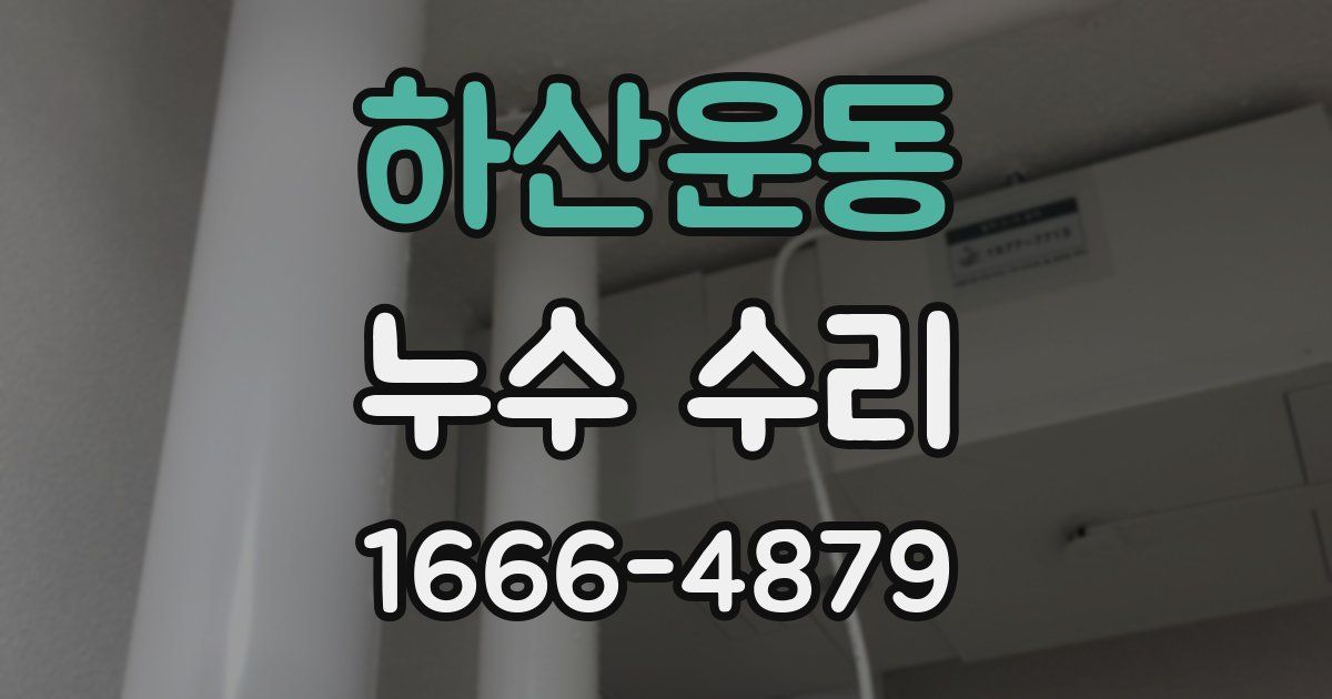 하산운동 누수 수리