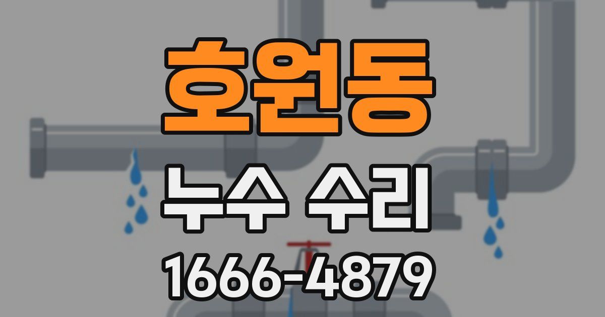 호원동 누수 수리