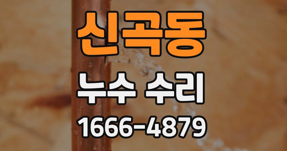 신곡동 누수 수리