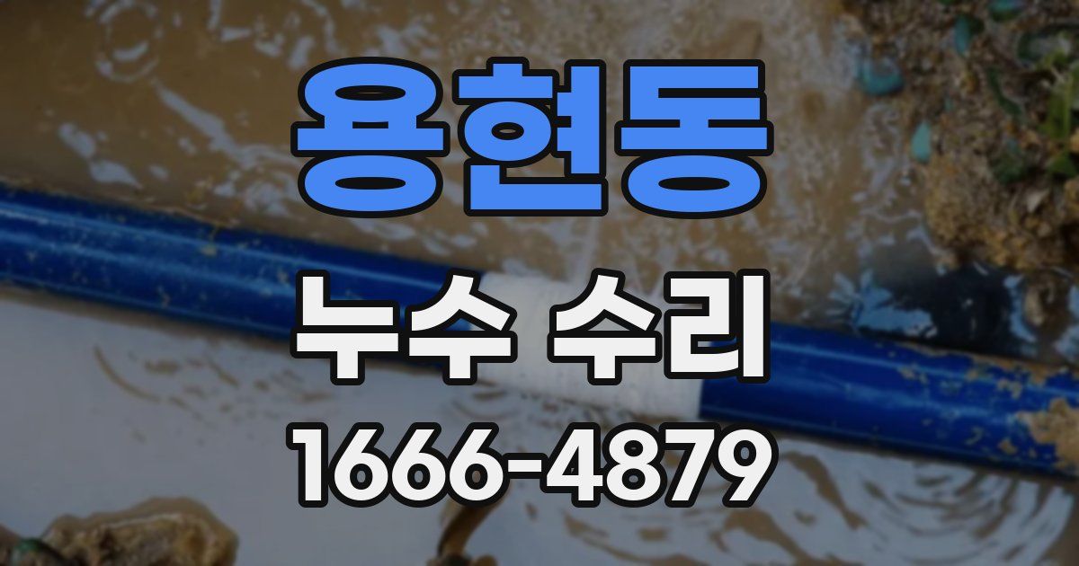 용현동 누수 수리