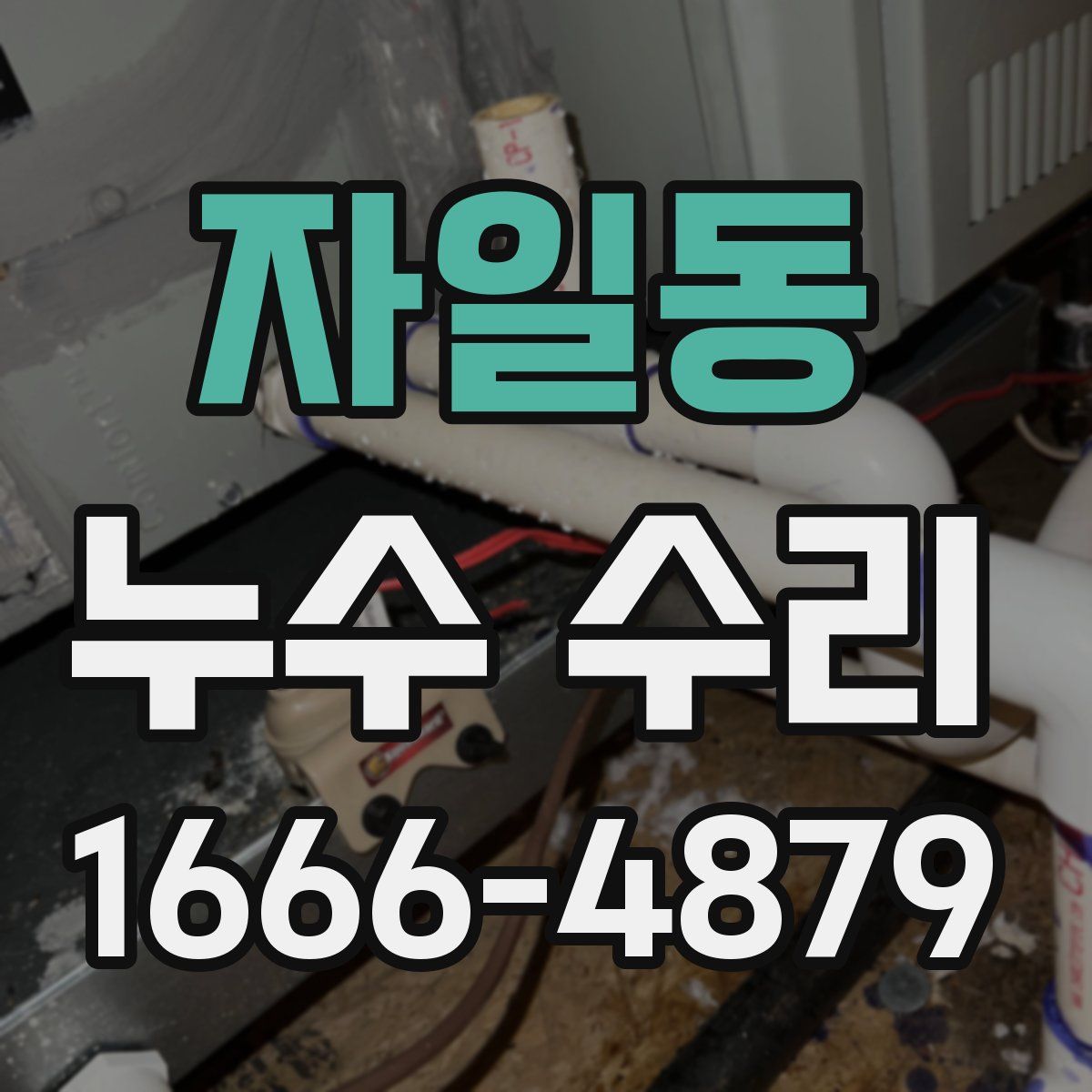 자일동 누수 수리