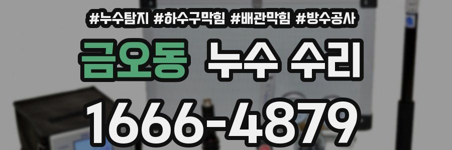 금오동 누수 수리