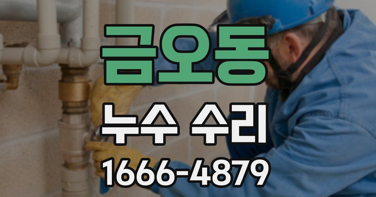 금오동 누수 수리
