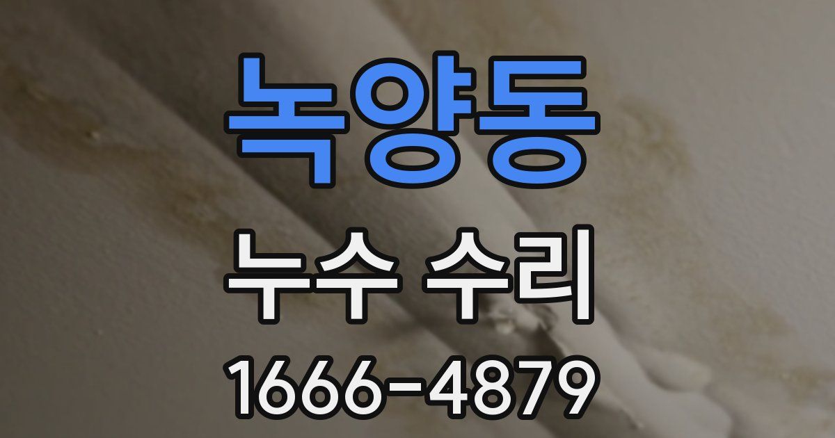 녹양동 누수 수리