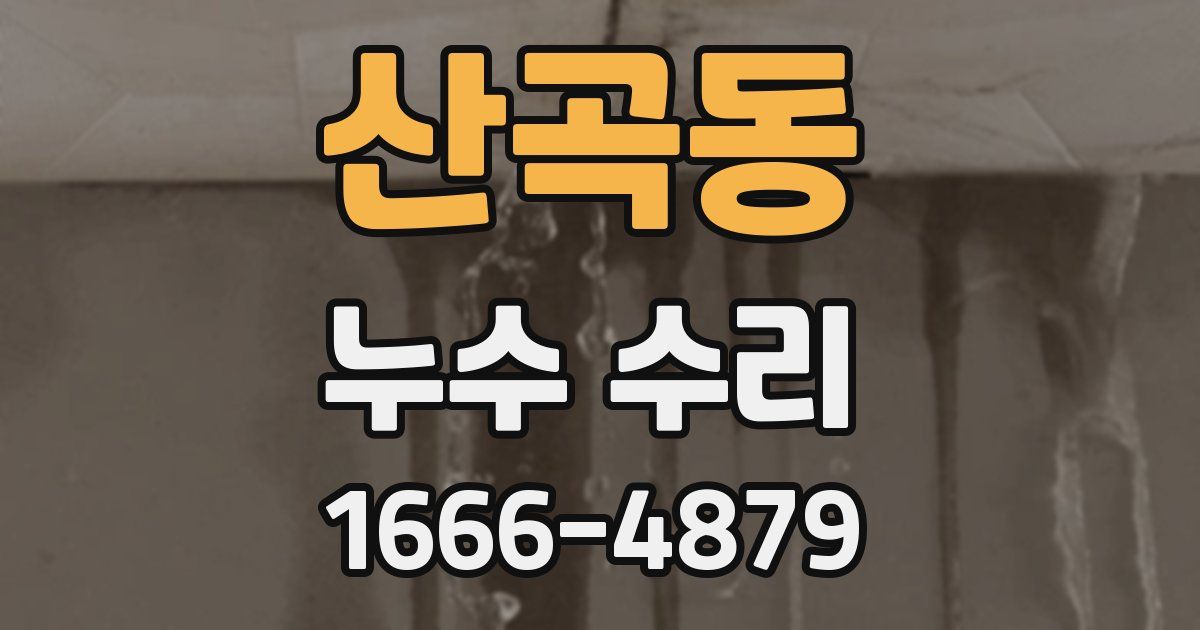 산곡동 누수 수리