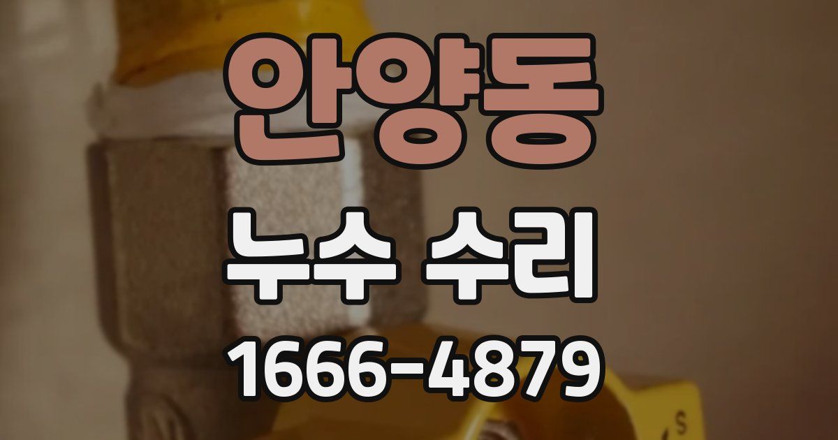 안양동 누수 수리