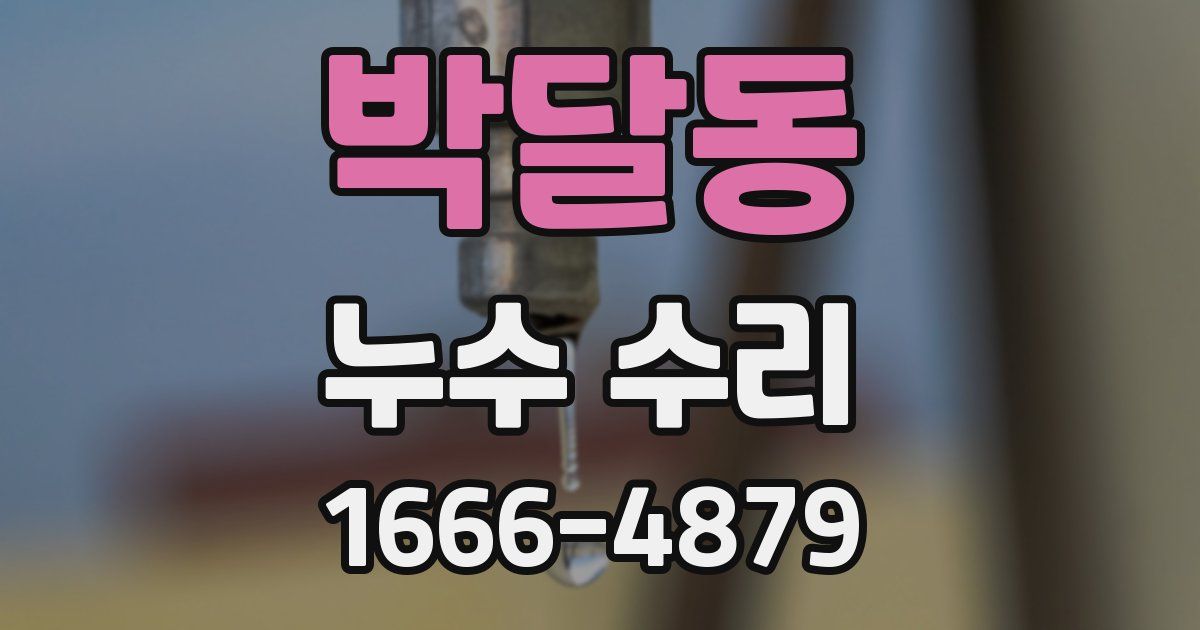박달동 누수 수리