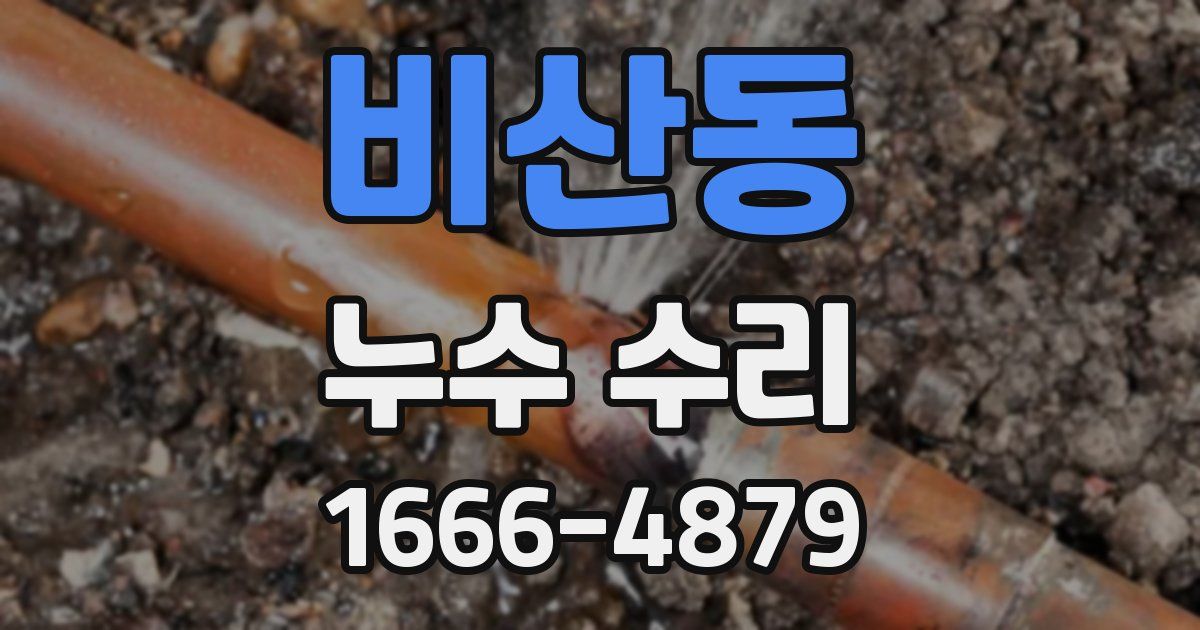 비산동 누수 수리