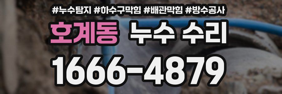 호계동 누수 수리