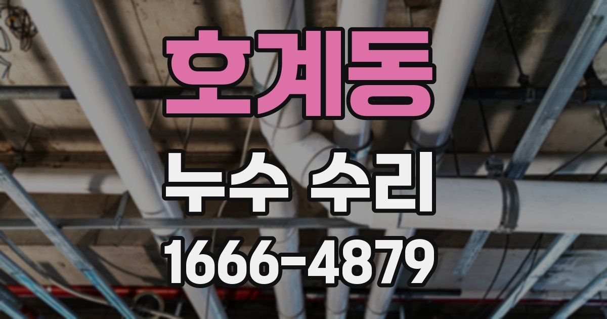 호계동 누수 수리