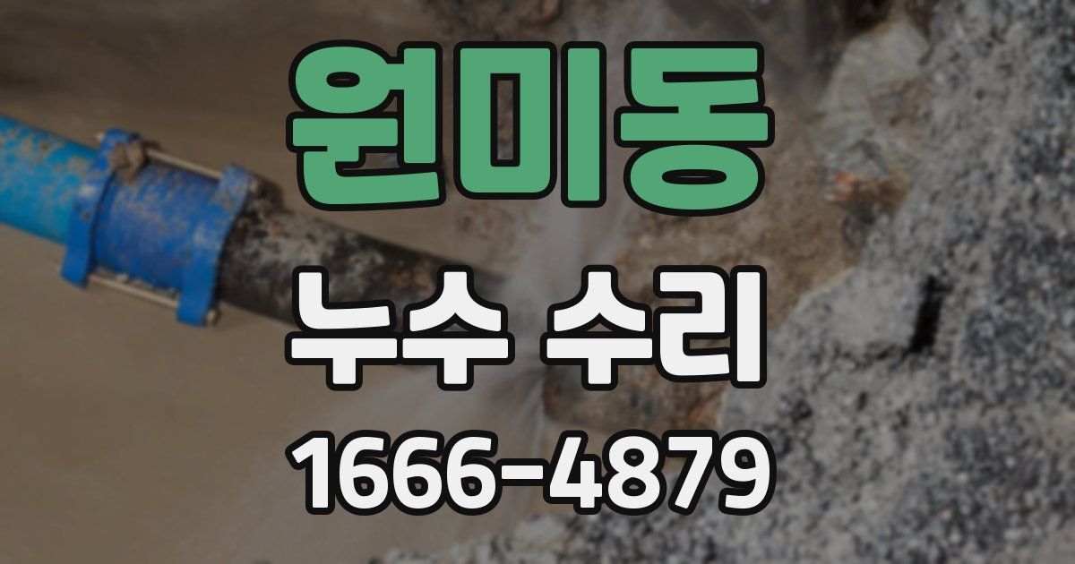 원미동 누수 수리