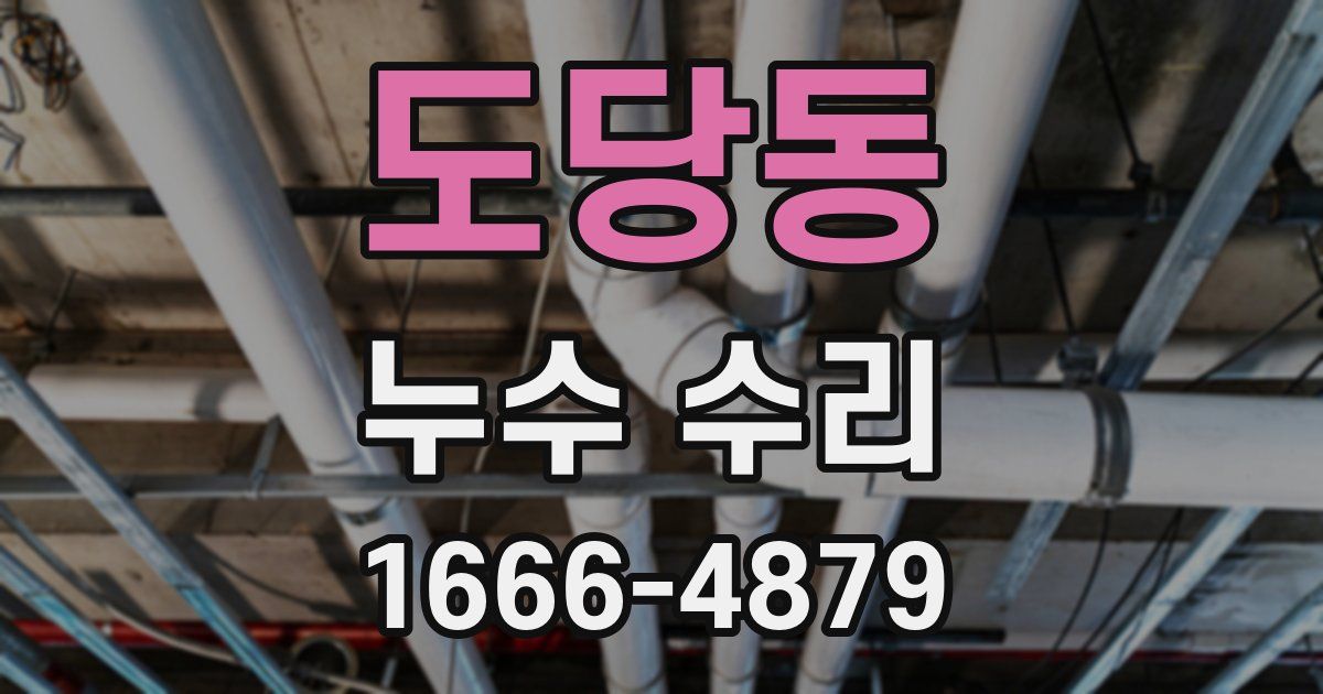 도당동 누수 수리