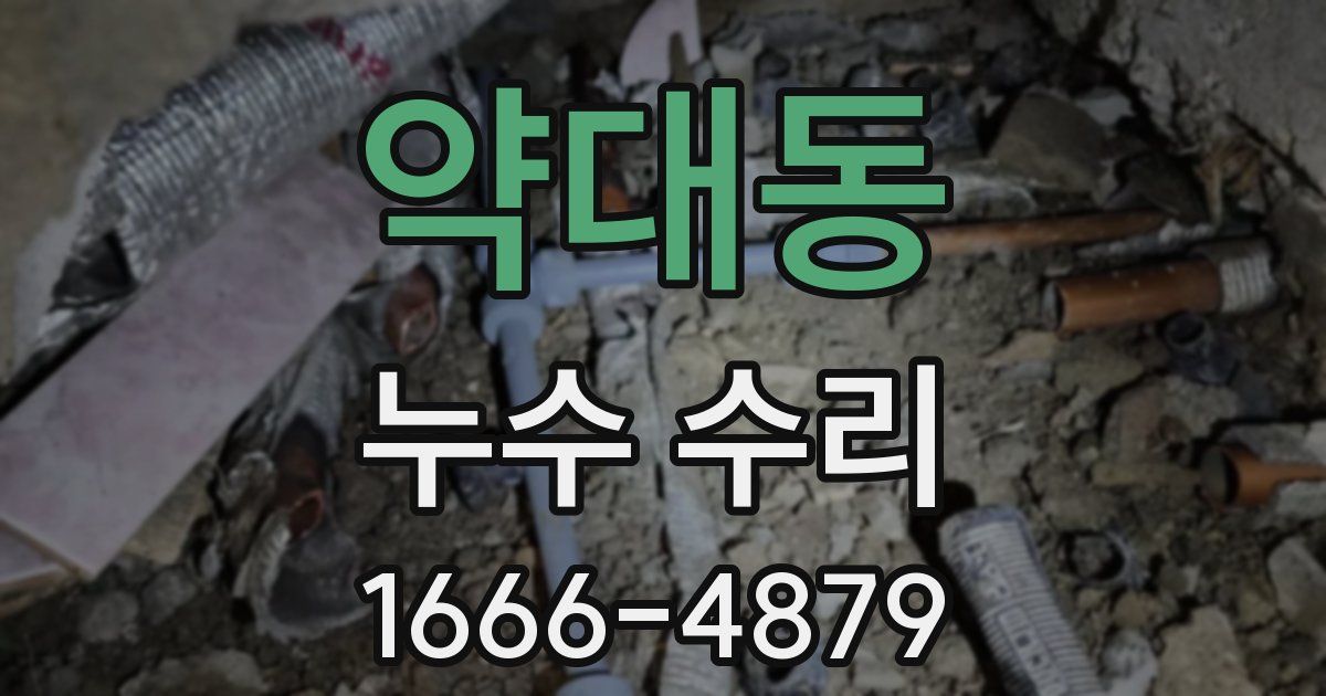 약대동 누수 수리