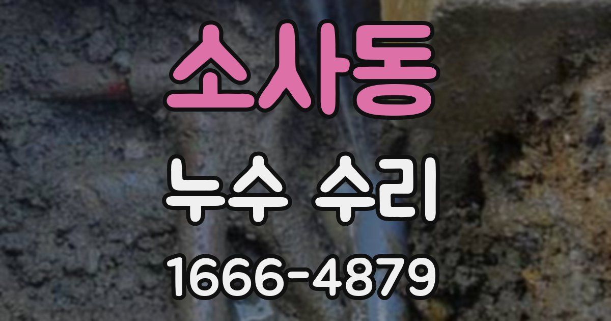 소사동 누수 수리