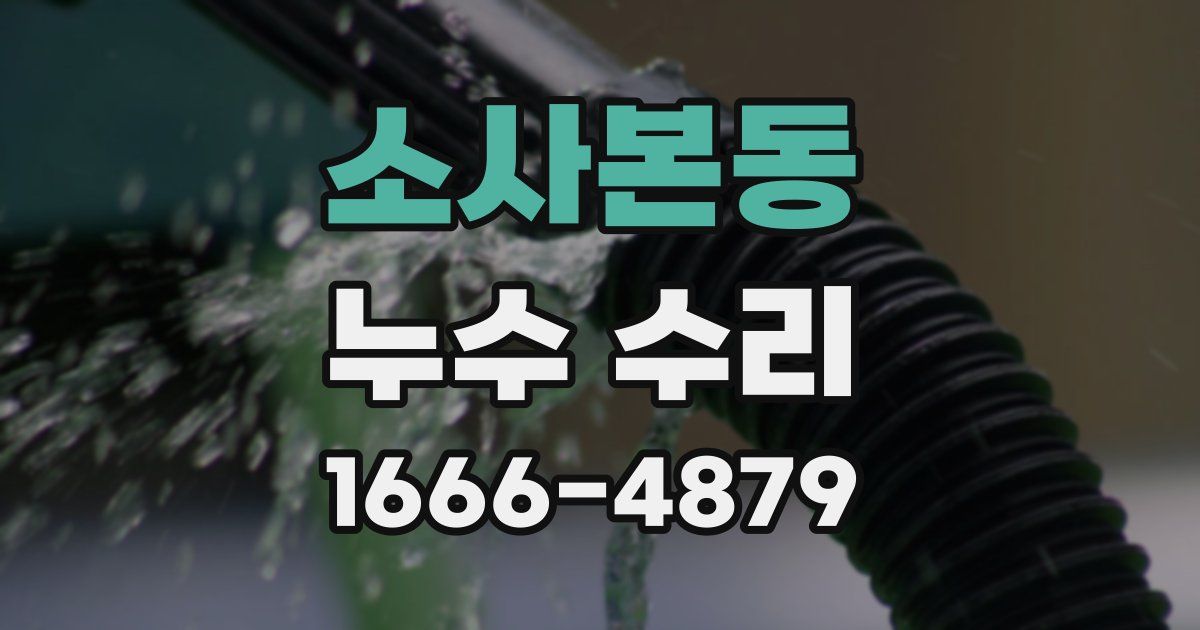 소사본동 누수 수리