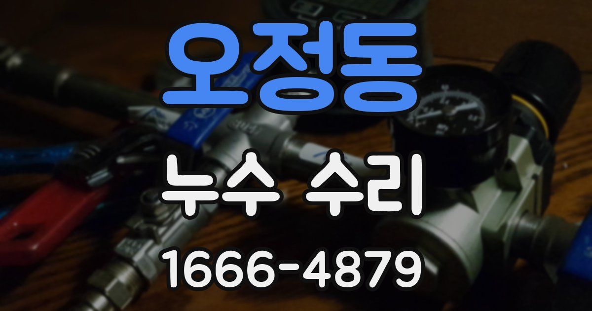 오정동 누수 수리