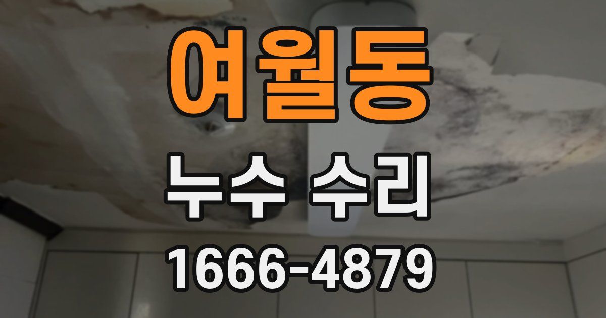 여월동 누수 수리