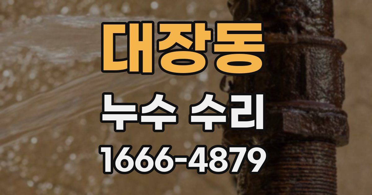 대장동 누수 수리