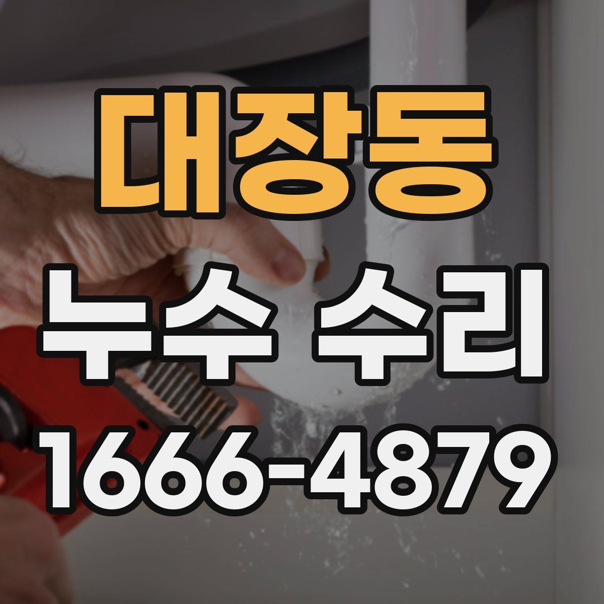 대장동 누수 수리