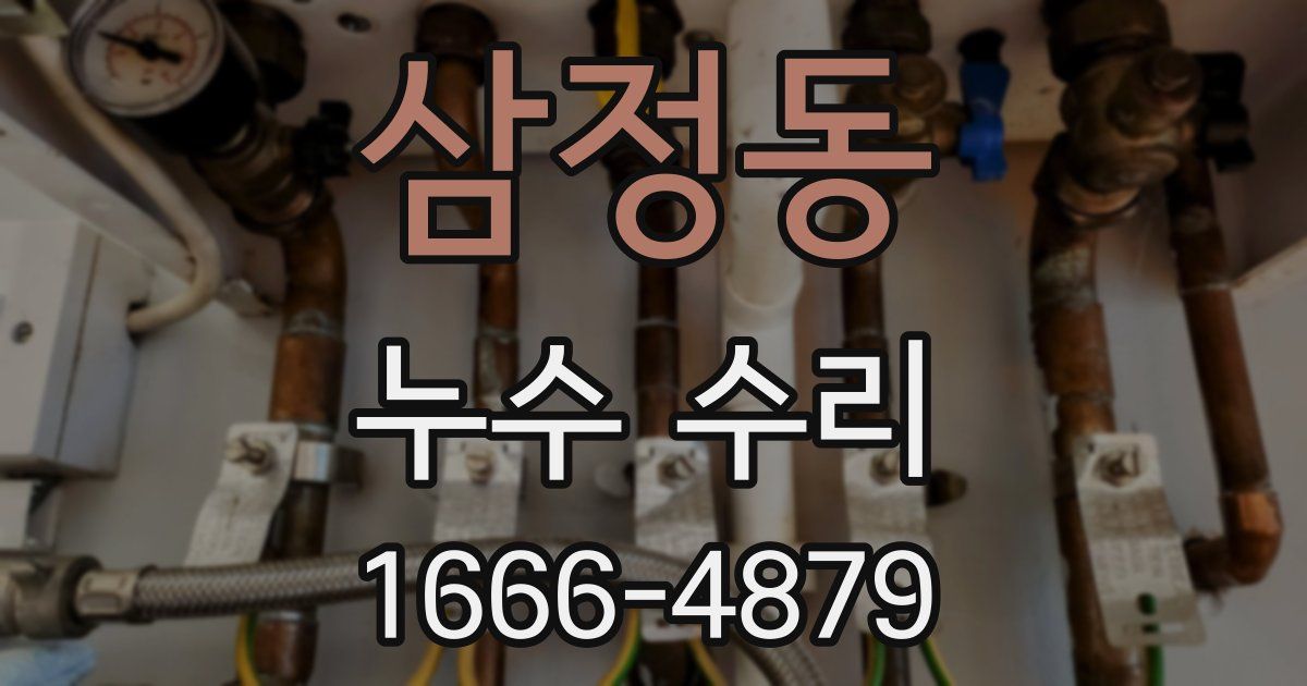 삼정동 누수 수리