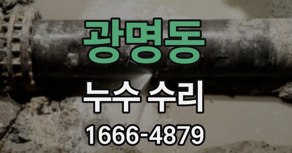광명동 누수 수리