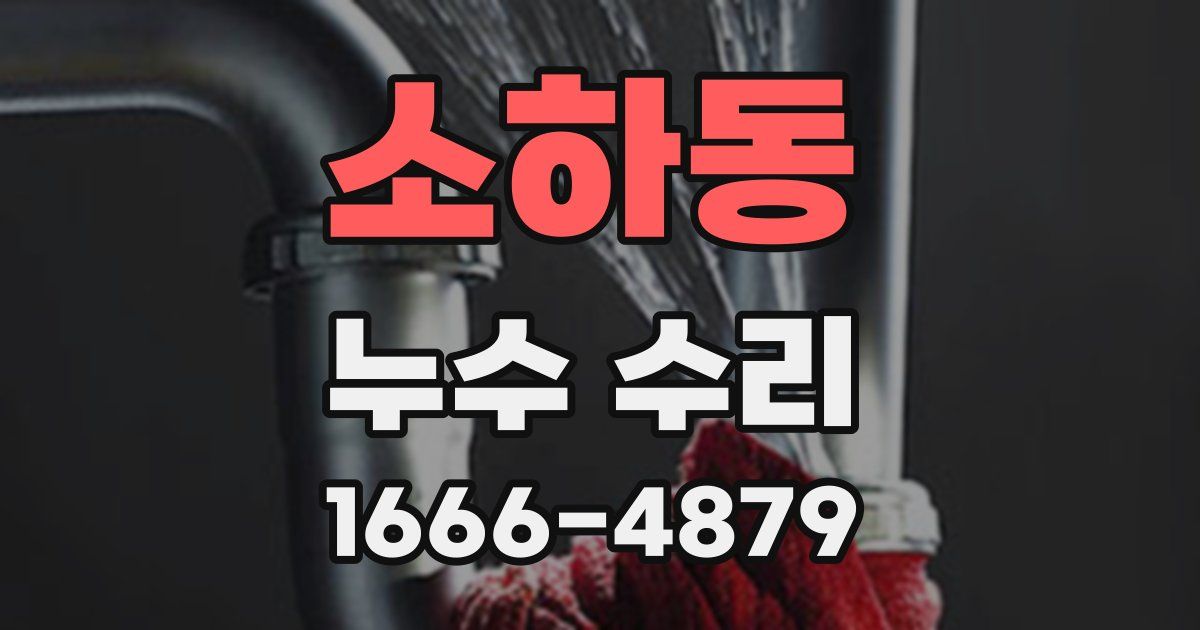 소하동 누수 수리