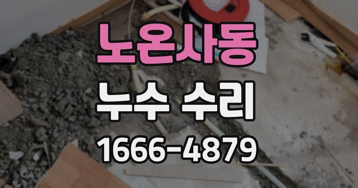 노온사동 누수 수리