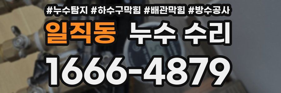 일직동 누수 수리