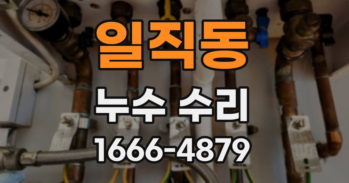 일직동 누수 수리