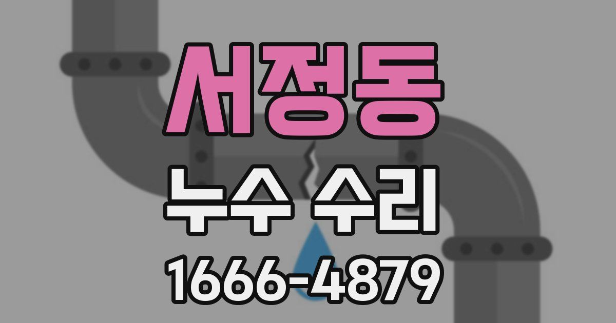 서정동 누수 수리
