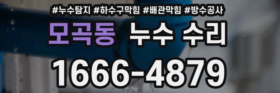 모곡동 누수 수리