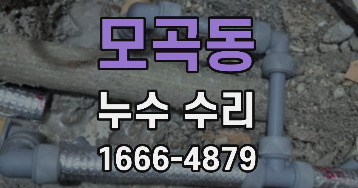 모곡동 누수 수리
