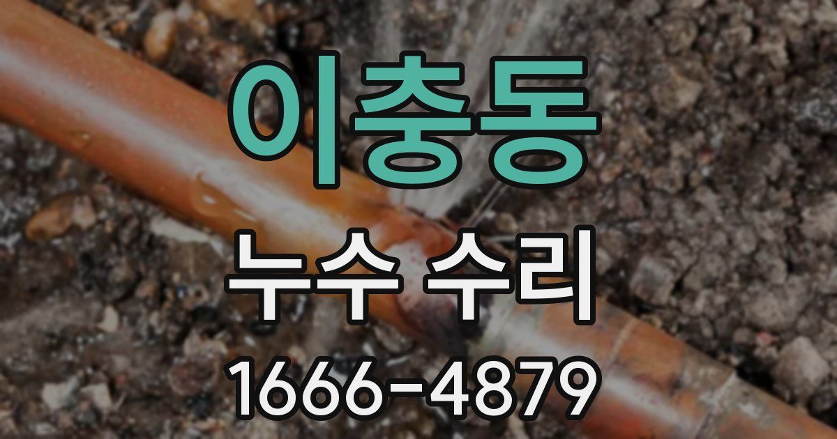 이충동 누수 수리