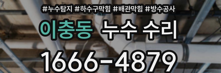 이충동 누수 수리