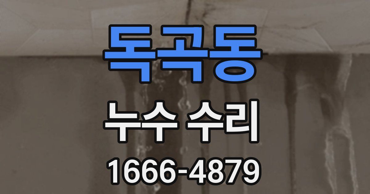 독곡동 누수 수리