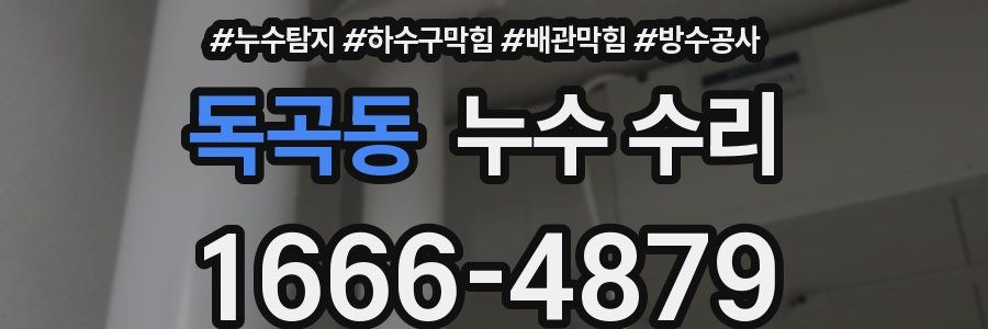 독곡동 누수 수리
