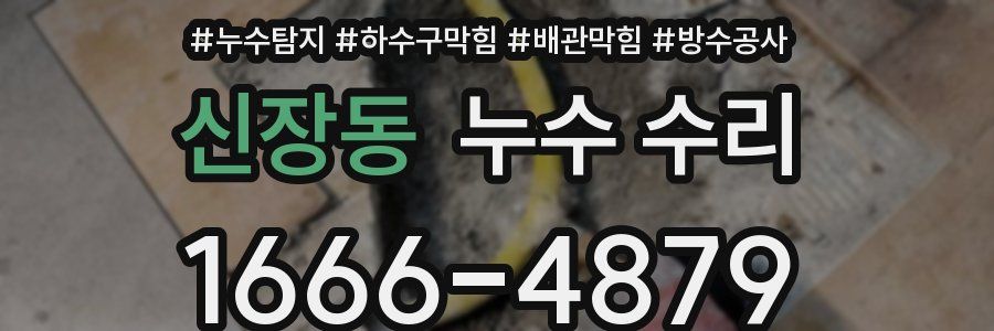 신장동 누수 수리