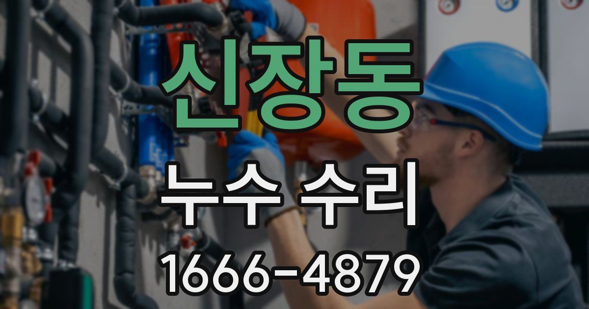 신장동 누수 수리
