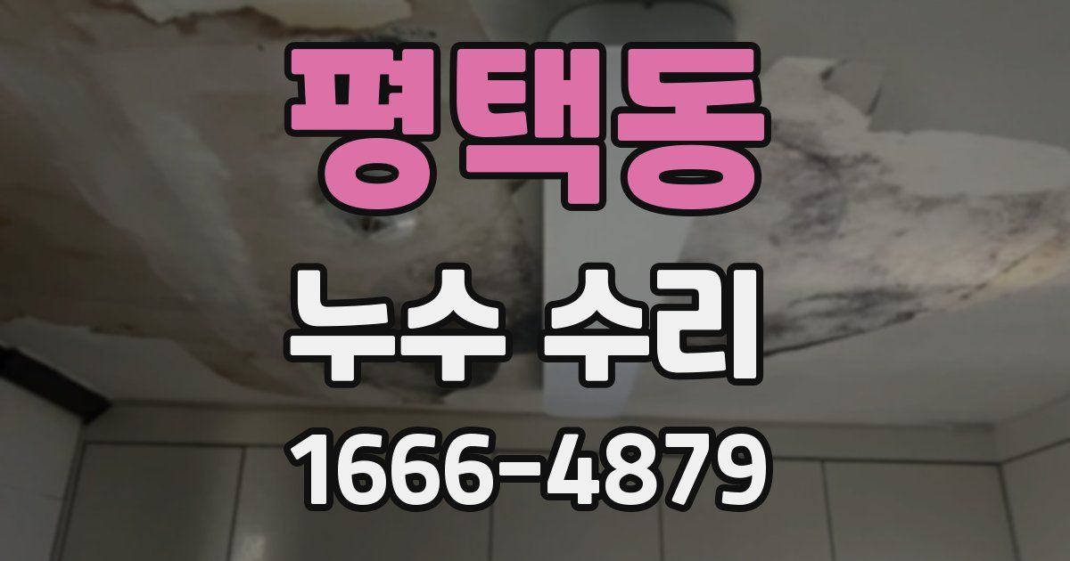 평택동 누수 수리