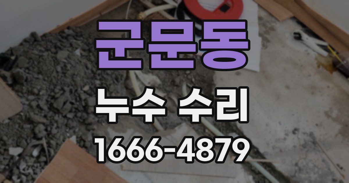 군문동 누수 수리