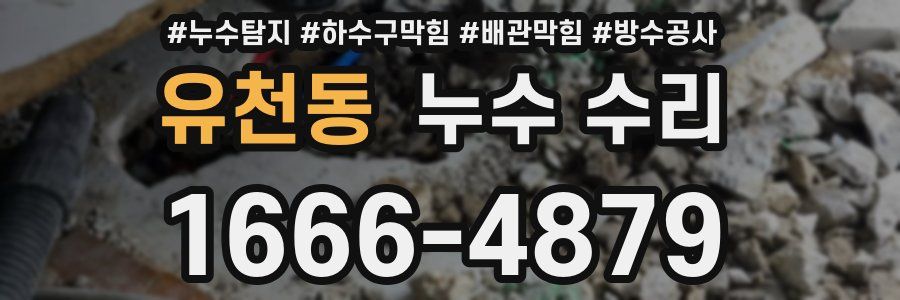 유천동 누수 수리