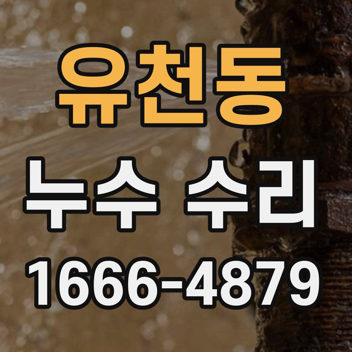 유천동 누수 수리
