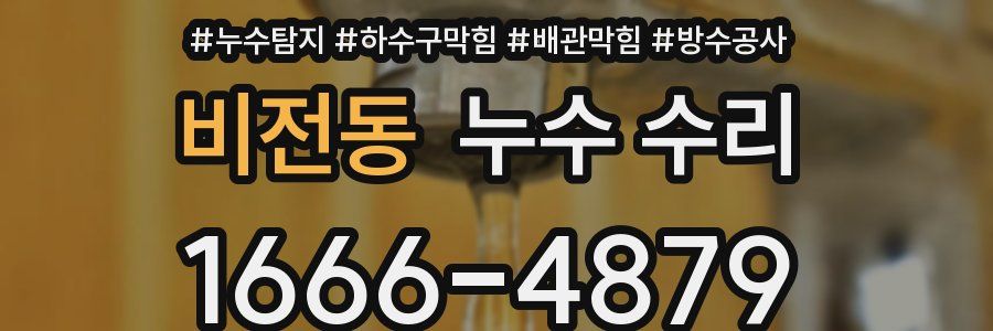비전동 누수 수리