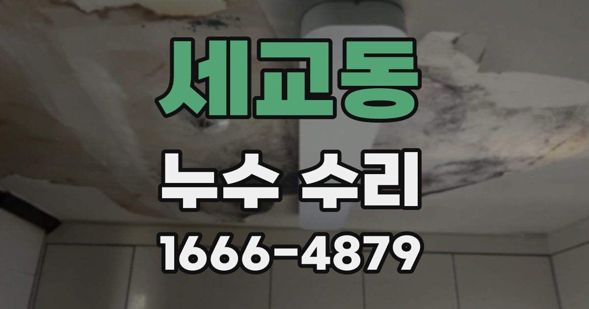 세교동 누수 수리