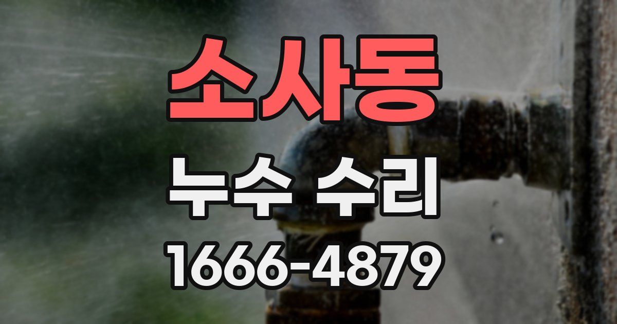 소사동 누수 수리