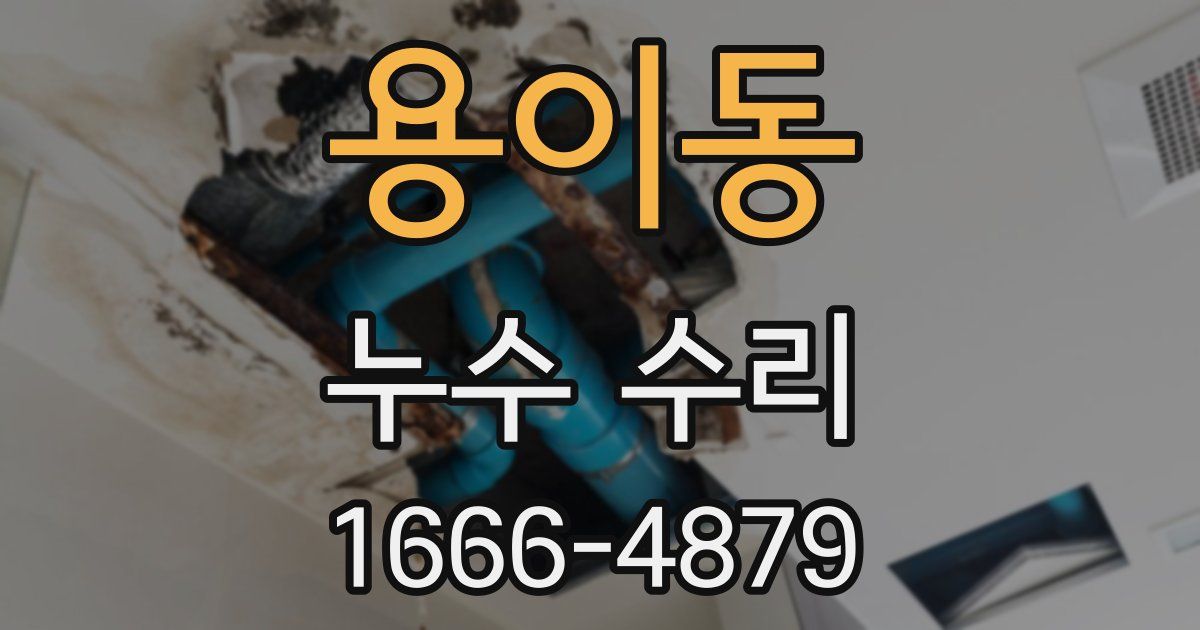 용이동 누수 수리