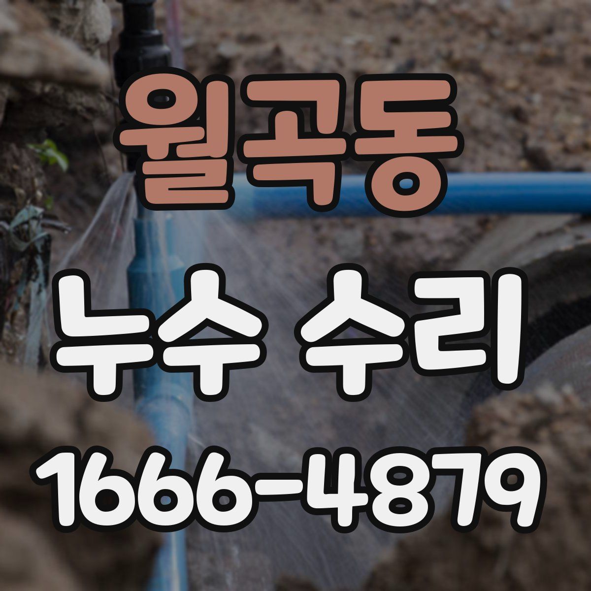 월곡동 누수 수리