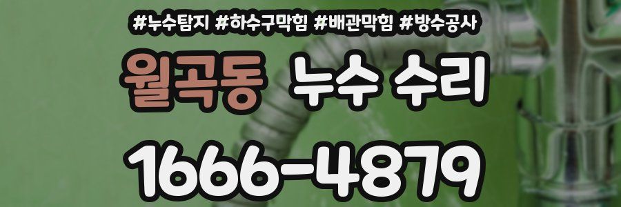 월곡동 누수 수리