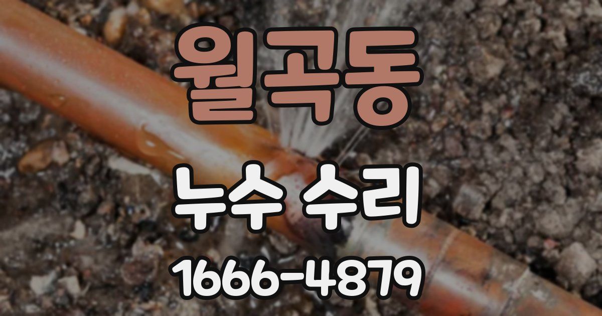 월곡동 누수 수리