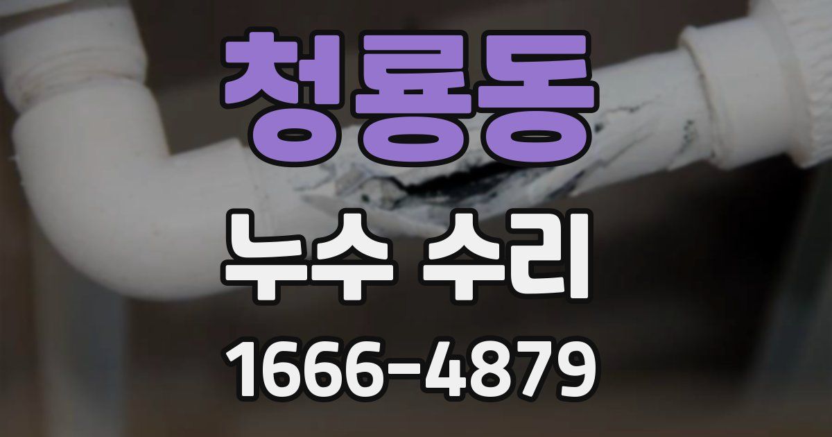 청룡동 누수 수리